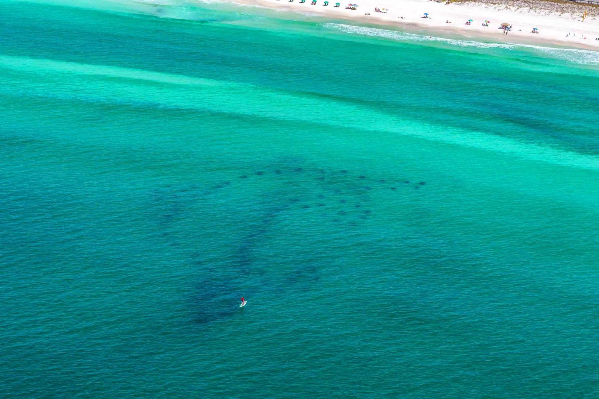 Stay Anchored Destin Buitenkant foto